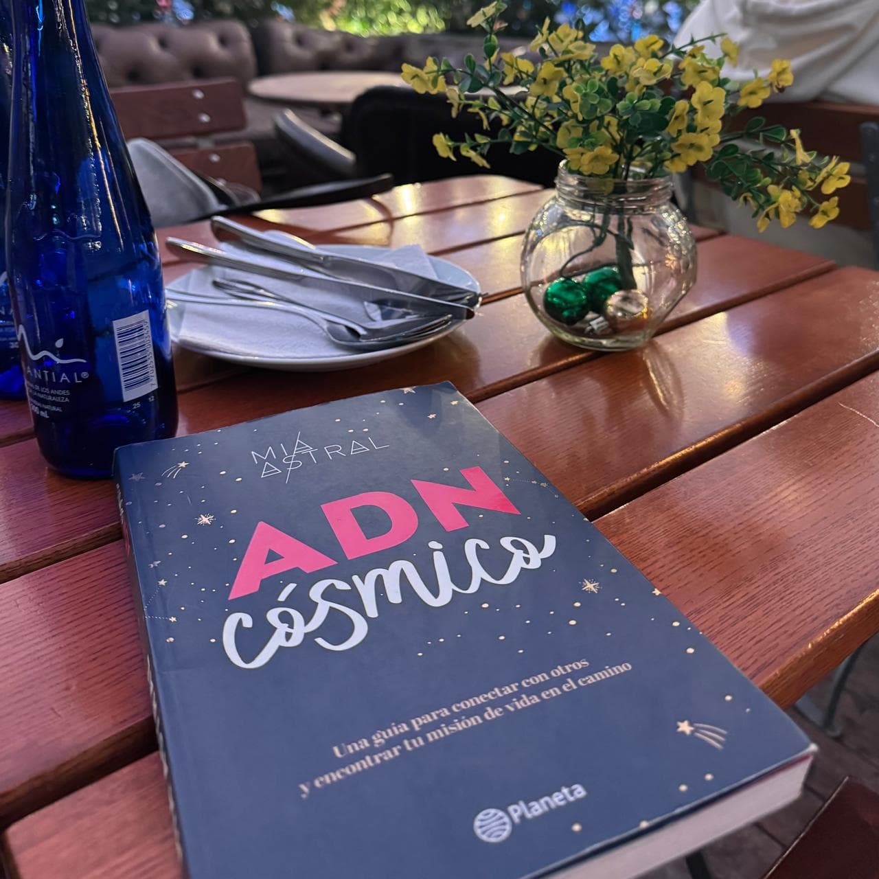 ADN Cósmico (Lectura de Carta Natal)